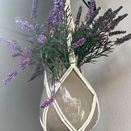 Camelia 5- Beautiful 1+1 On Cleopatra 阿拉尼亚