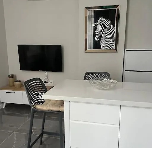 Camelia 5- Beautiful 1+1 On Cleopatra *