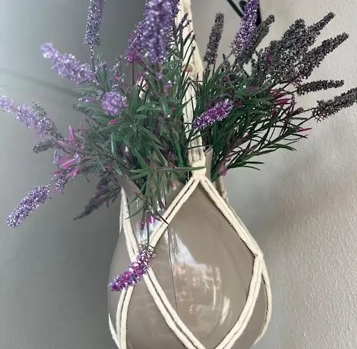 Camelia 5- Beautiful 1+1 On Cleopatra 알란야